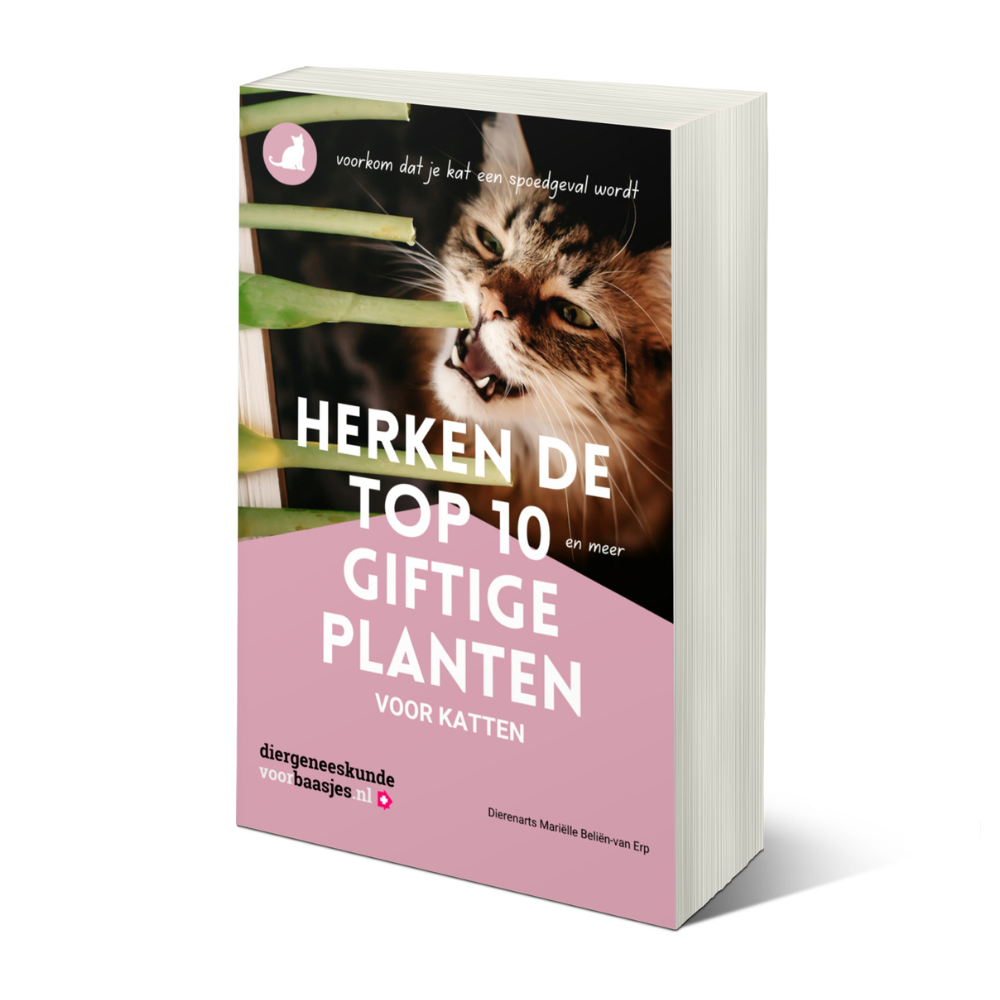 gratis e-book top 10 giftige planten voor katten